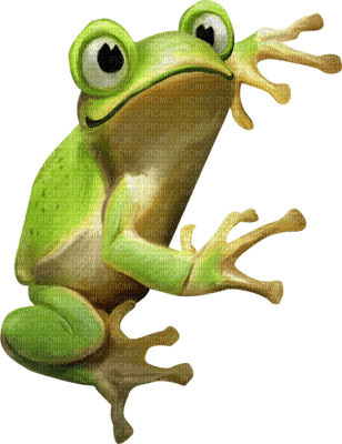 Kaz_Creations Frogs Frog - png gratis