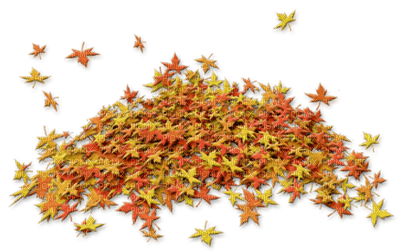Autumn leaf - png ฟรี