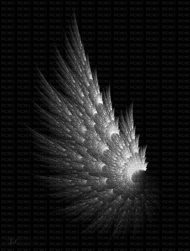 Flügel - Darmowy animowany GIF
