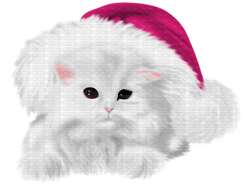 pink christmas cat - PNG gratuit