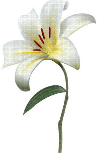 charmille _ fleurs - PNG gratuit