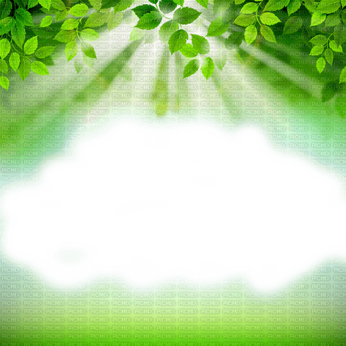 nature green transparent background with leaves - png gratis