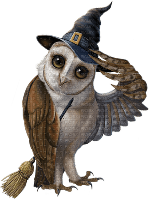 owl bp - 免费PNG