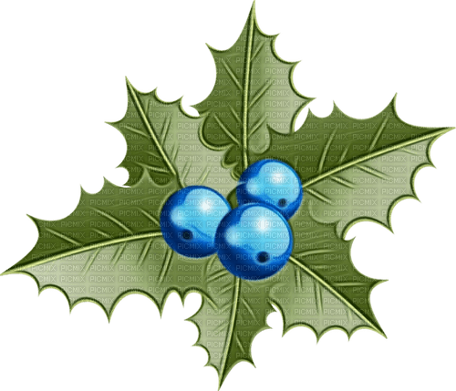 blue berries Bb2 - Free PNG