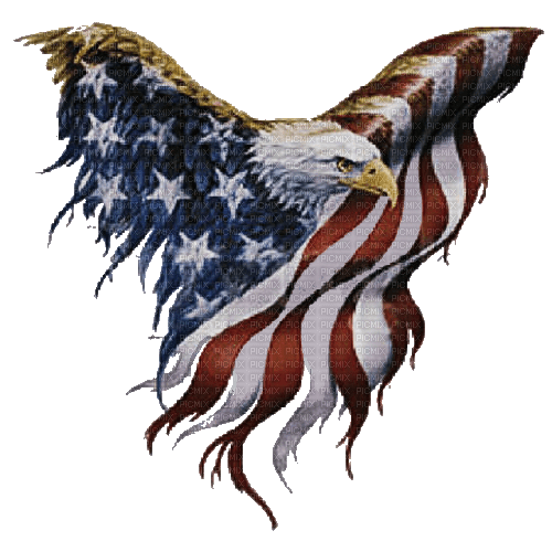 Eagle Flag PNG - gratis png