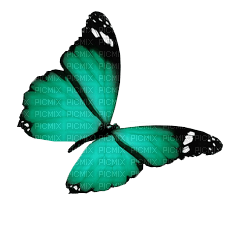 ✶ Butterfly {by Merishy} ✶ - ilmainen png