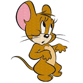 Kaz_Creations Cartoon Tom And Jerry - png grátis