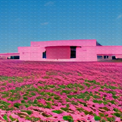 Pink Shopping Mall in the middle of a Field - бесплатно png