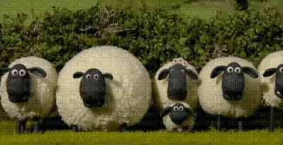 animals bp - Bezmaksas animēts GIF