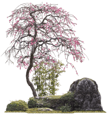 Kaz_Creations Deco Flowers Flower Colours Trees Tree - 無料png