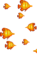 aze poisson orange - GIF animado gratis