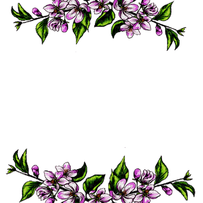 deco-border-lila-flower - nemokama png