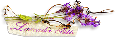 soave text deco lavender flowers purple pink green - ingyenes png