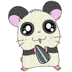 hamtaro panda - Gratis animeret GIF
