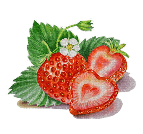 strawberries Bb2 - nemokama png