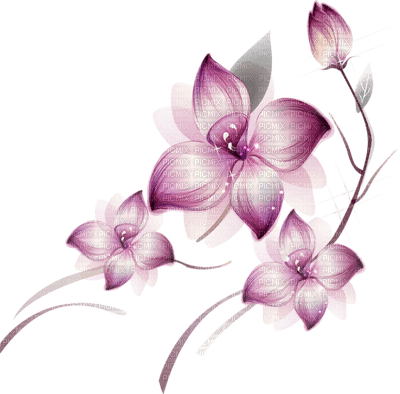 Kaz_Creations Flowers Deco Flower Colours - фрее пнг