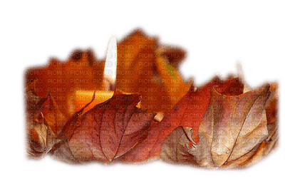 autumn leaf and candle - ücretsiz png