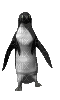 penguin bp - Бесплатный анимированный гифка