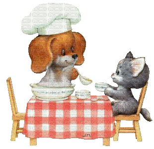 animated cat dog food - Darmowy animowany GIF