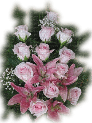 rose rose.Cheyenne63 - ücretsiz png