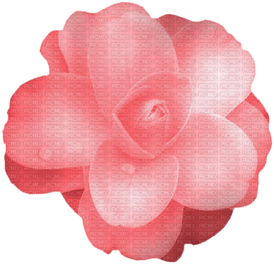 Kaz_Creations Flowers Flower - bezmaksas png