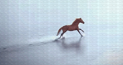 KON - Animovaný GIF zadarmo
