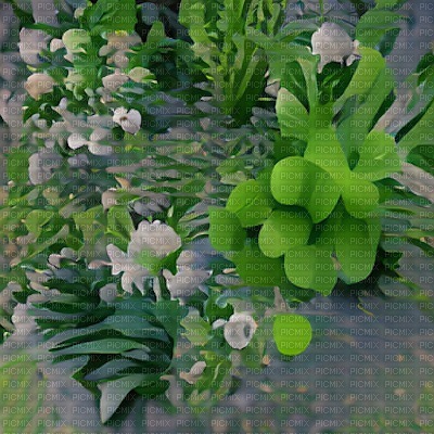 Green & White Flowers Background - Free PNG
