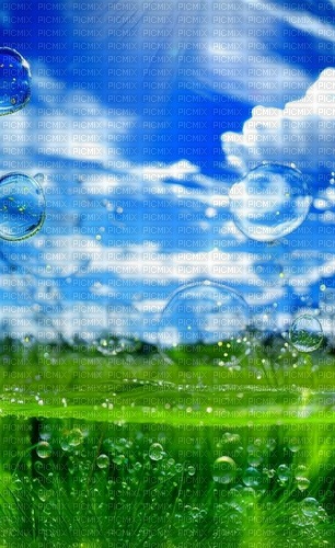 grass bubbles background - PNG gratuit