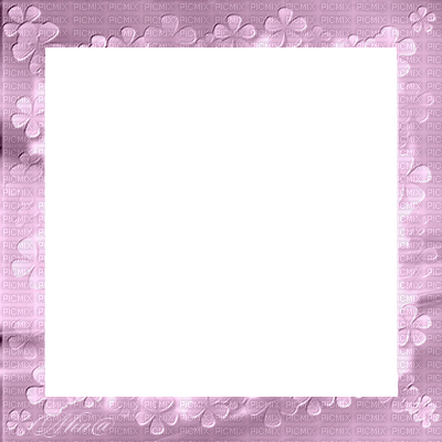 frame-flower-pink - ingyenes png