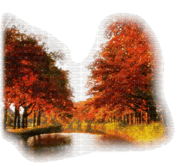 autumn nature - GIF animasi gratis