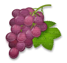 Grapes emoji - png gratuito