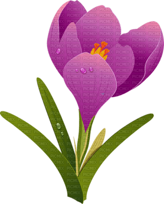 Kaz_Creations Deco Flowers Flower Pink Purple - png gratuito