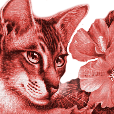 Y.A.M._Art Fantasy cat red - δωρεάν png