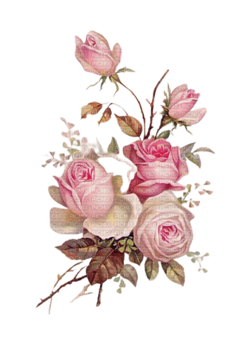 vintage pink roses - ingyenes png
