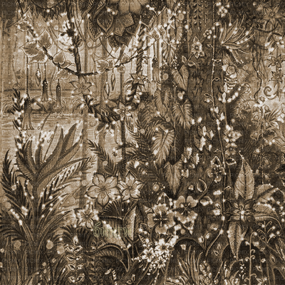 Y.A.M._Fantasy jungle forest background sepia - GIF animé gratuit