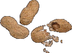peanuts - nemokama png