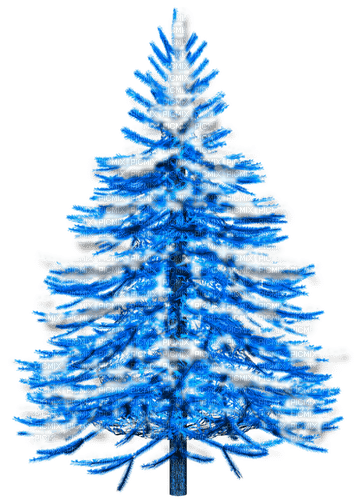 Winter.Tree.Blue.White - Free PNG