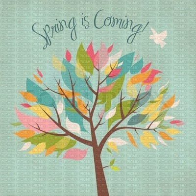 Spring is coming - 無料png