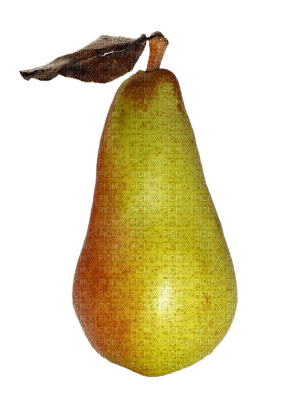 päärynä, pear, hedelmä, fruit - PNG gratuit
