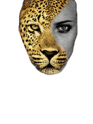 woman animal face bp - 免费PNG