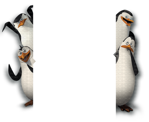pingwiny - png ฟรี