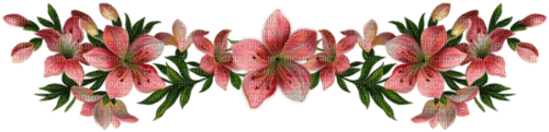 vintage border flowers - darmowe png