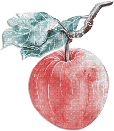 soave deco branch fruit apple pink teal - Free PNG