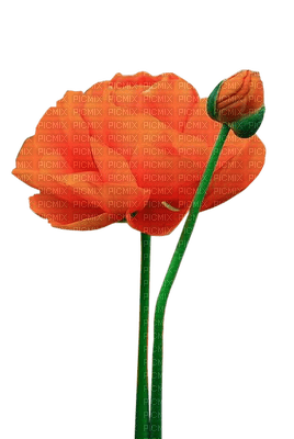 Flowers orange bp - zdarma png