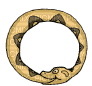 Serpent - Безплатен анимиран GIF
