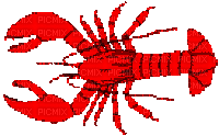 oldweb lobster - Ilmainen animoitu GIF