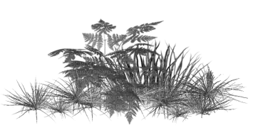 Kaz_Creations Deco Garden Grass Flowers - 免费PNG