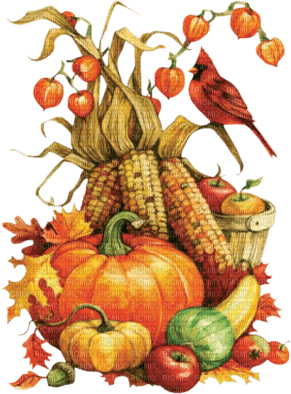 Kaz_Creations Thanksgiving Deco - 免费PNG