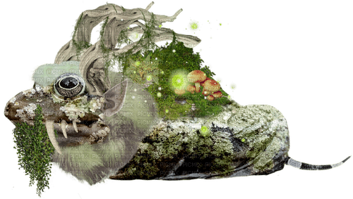 mossy agate forest troll frog - δωρεάν png
