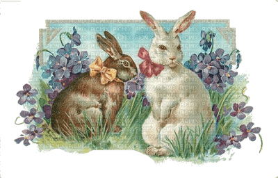 Osterhase easter rabbit lapin - besplatni png